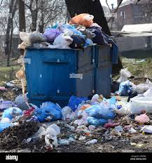 Best Dumpster Rental Services  in Tavares, FL