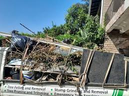 Best Moving and Downsizing Cleanouts  in Tavares, FL