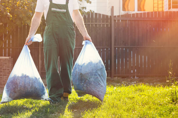 Best Shed Removal  in Tavares, FL
