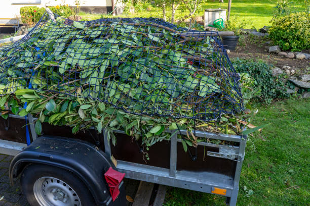 Trusted Tavares, FL Junk Removal Services Experts
